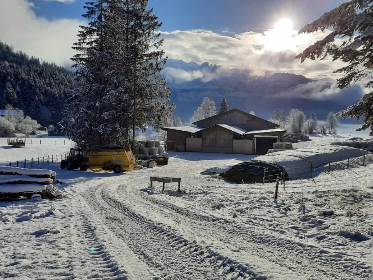 Urlaub Am Bauernhof Bei Familie Steinbrecher Bad Mitterndorf Ngoại thất bức ảnh